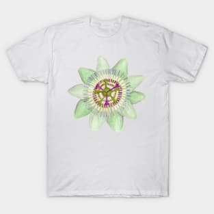 Watercolor Passionflower T-Shirt
